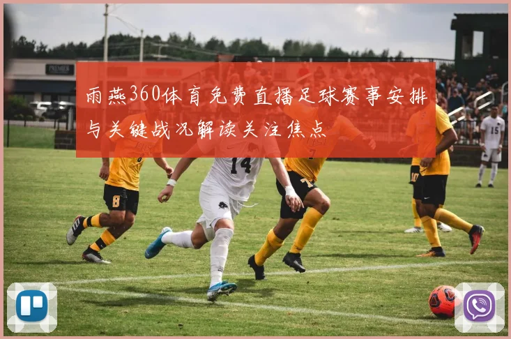 雨燕360体育免费直播足球赛事安排与关键战况解读关注焦点